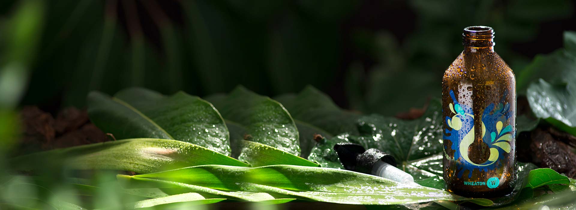 Mais que uma sigla, um compromisso para gerar impactos positivos na natureza e nas pessoas